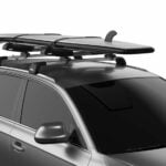 ΣΧΑΡΕΣ ΘΑΛΑΣΣΙΩΝ ΣΠΟΡ