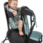 Thule Sapling, Baby Backpack, 3204538, Black