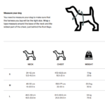 Thule Cappy Dog Car Harness, λουρί στήθους/ζώνη ασφαλείας αυτοκινήτου για σκύλους, Small, 771001 - Image 10