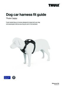 Thule Cappy Dog Car Harness, λουρί στήθους/ζώνη ασφαλείας αυτοκινήτου για σκύλους, Small, 771001 - Image 9